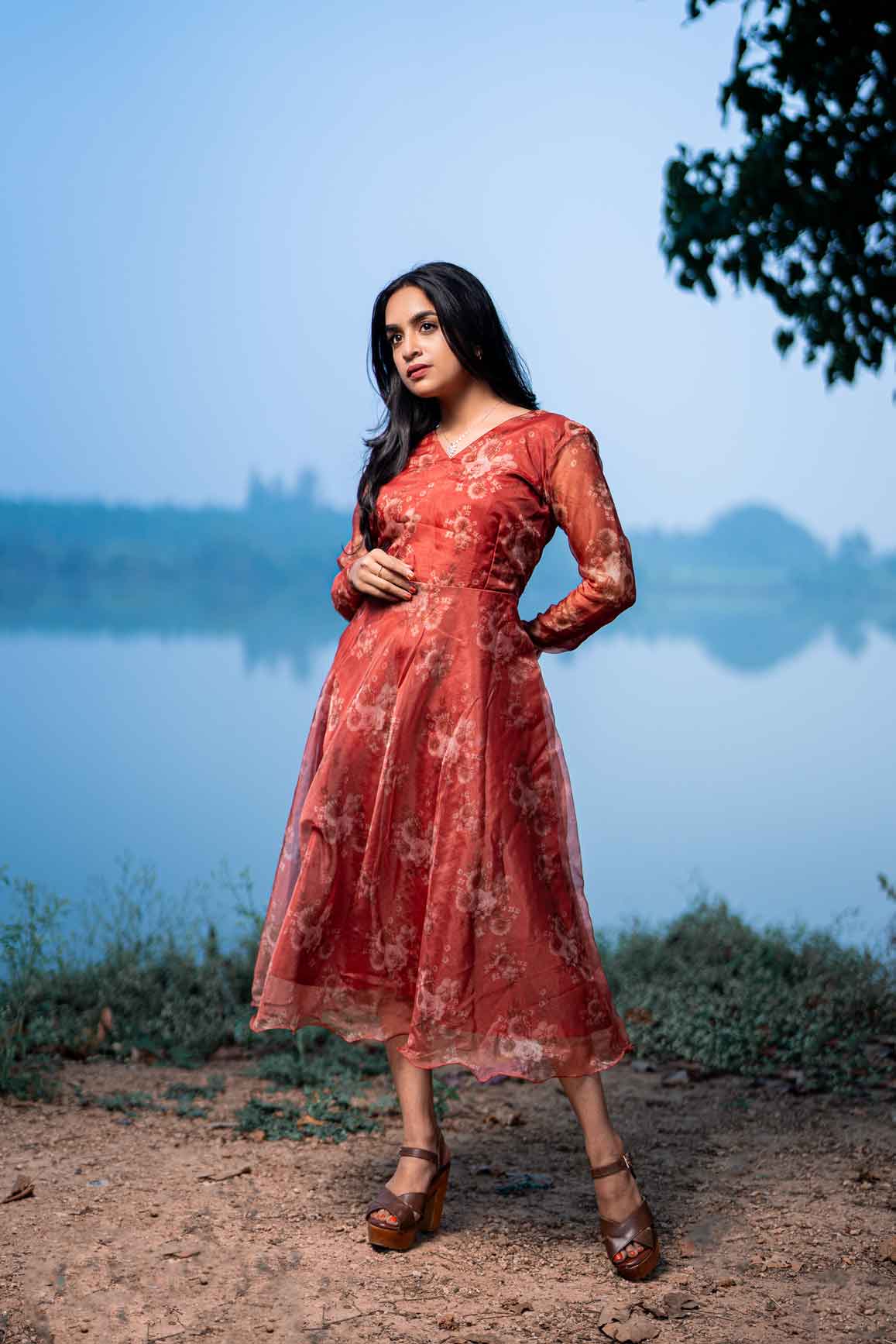 Brick red Organza dress